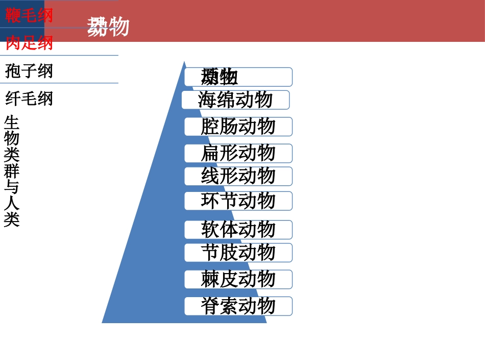 (29)--生命科学概论-生物类群与人类-原生动物（孢子纲、纤毛纲）_第2页