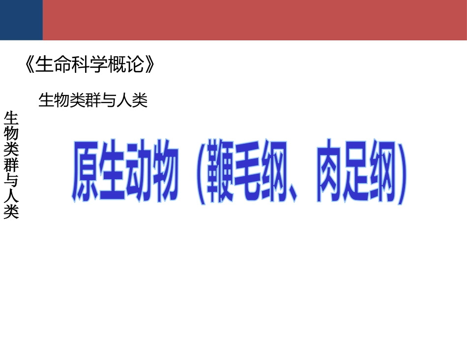 (30)--生命科学概论-生物类群与人类-原生动物（鞭毛纲、肉足纲）_第1页