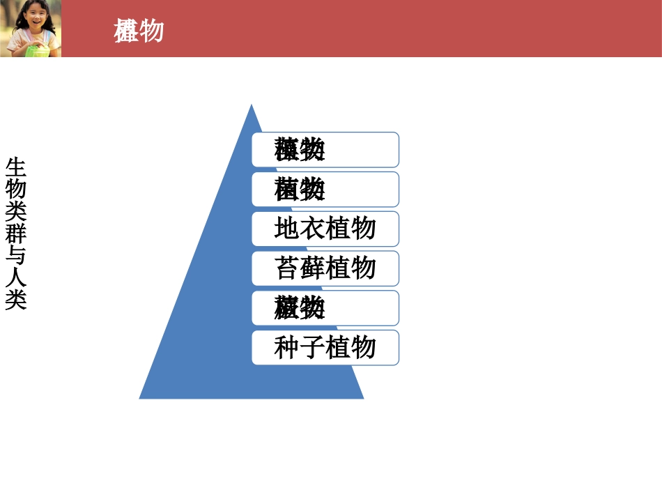 (35)--生命科学概论-生物类群与人类-种子植物_第2页