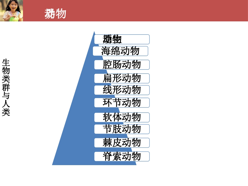 (36)--生命科学概论-生物类群与人类-线形动物_第2页