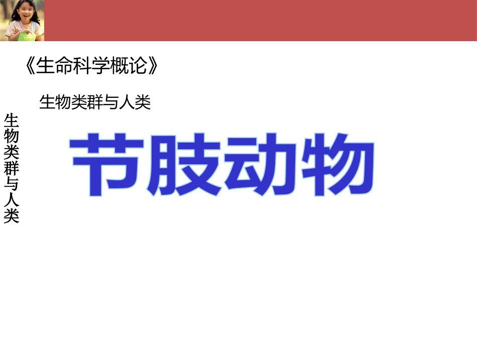 (40)--生命科学概论-生物类群与人类-节肢动物_第1页