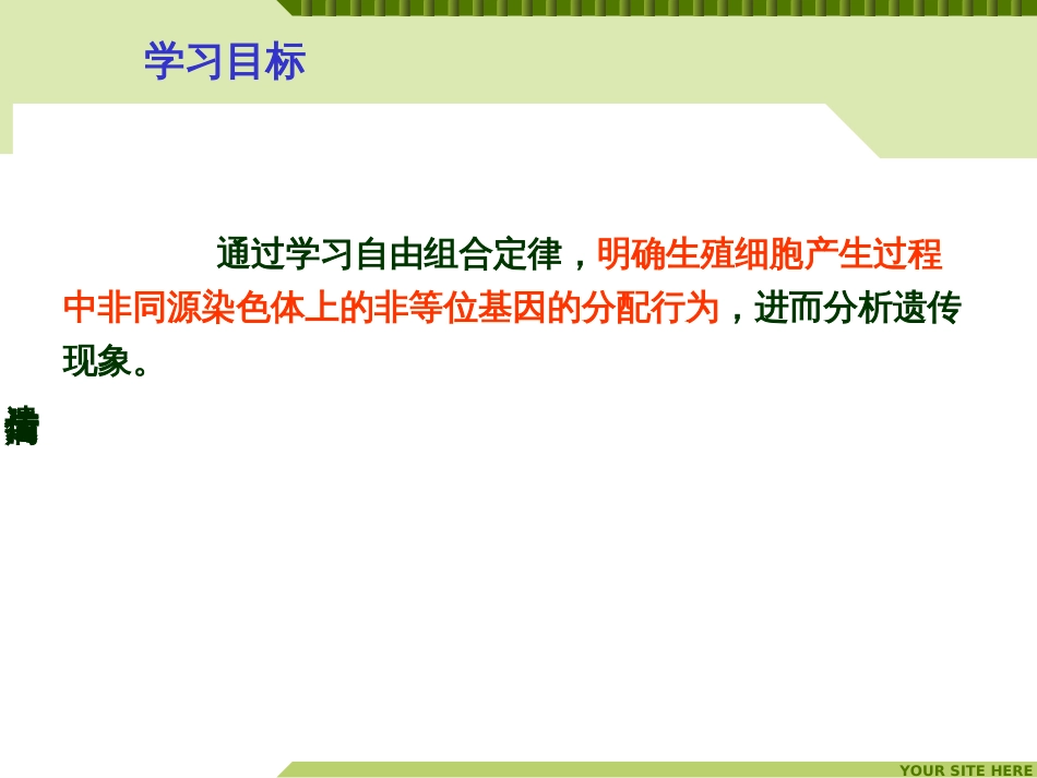 (63)--生命科学概论-遗传与遗传病-自由组合定律_第3页