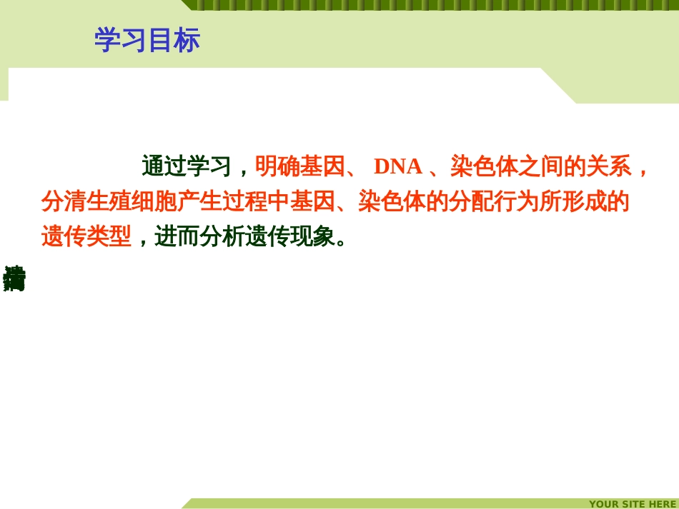 (65)--生命科学概论-遗传与遗传病-遗传类型_第3页