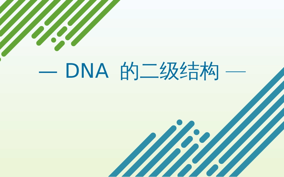 (1.1)--DNA的二级结构生物化学_第1页