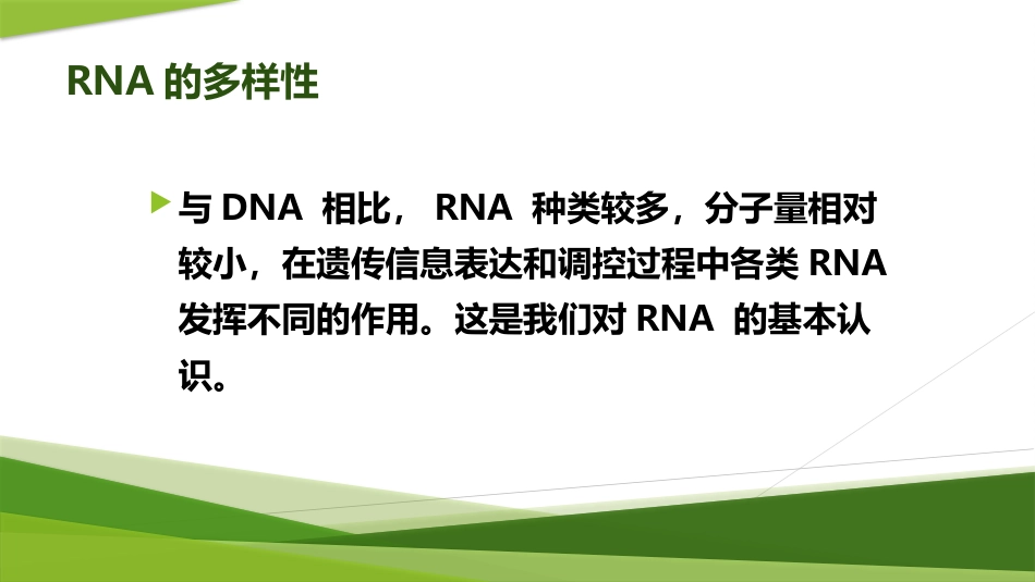 (1.3)--RNA的多样性生物化学_第3页