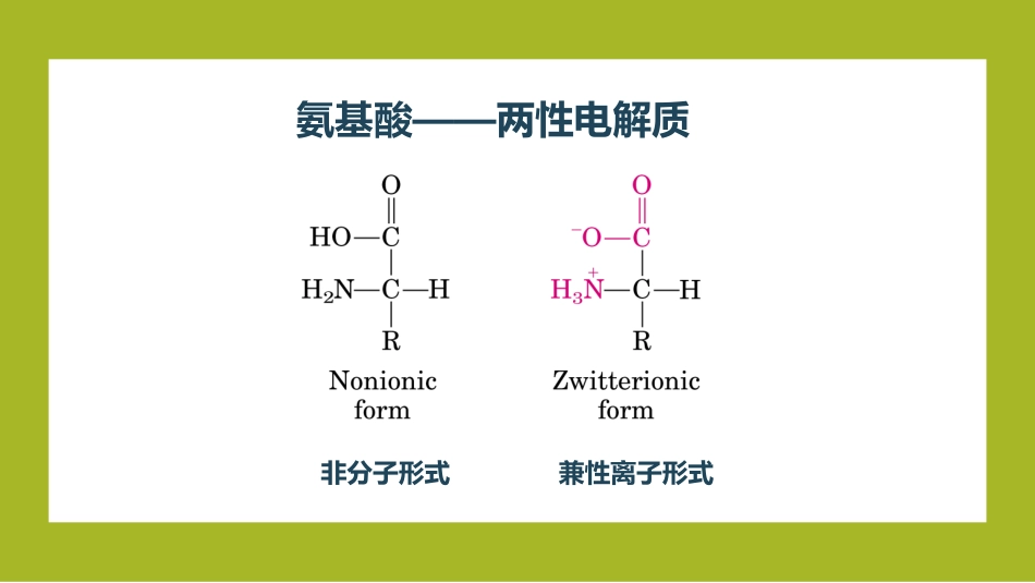 (1.10)--氨基酸的两性解离与等电点_第3页