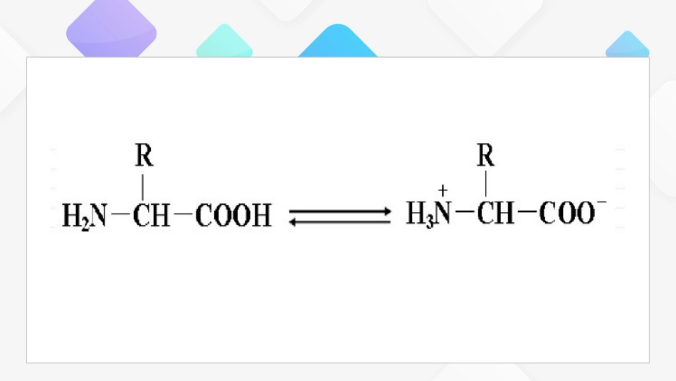 (1.11)--氨基酸的化学性质_第2页