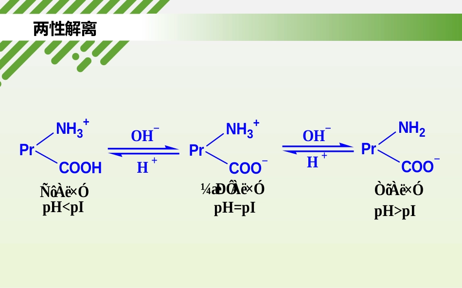 (1.19)--蛋白质的两性解离及电泳_第2页
