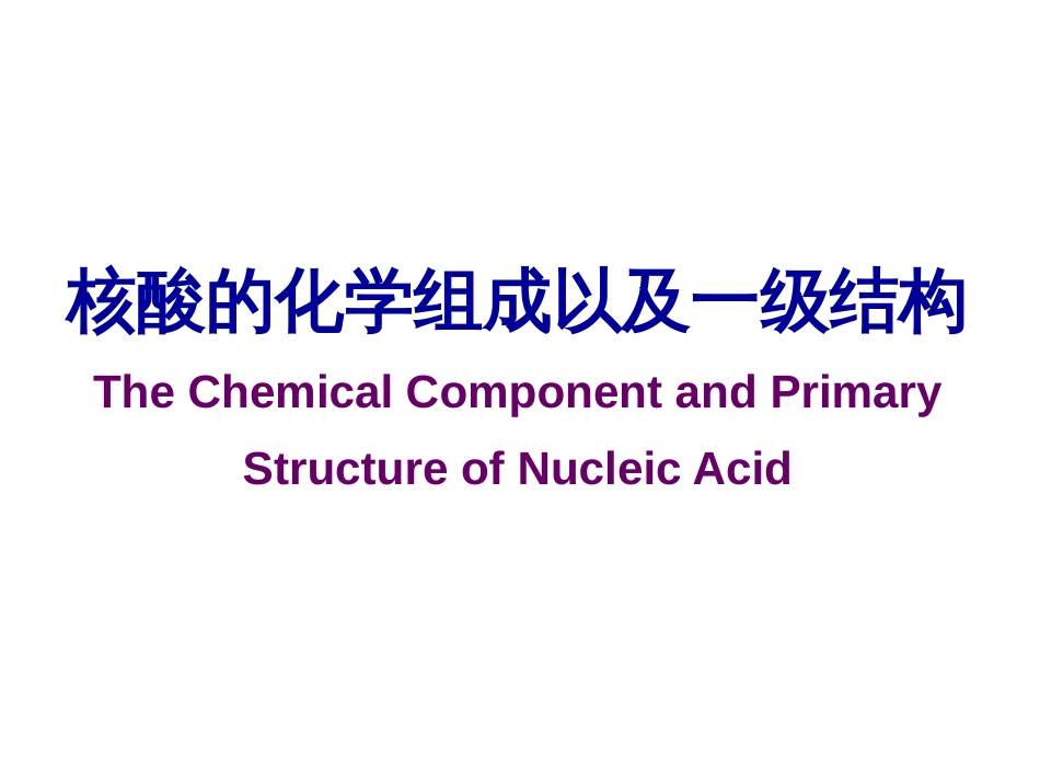 (2.7)--第02章-1 核酸的化学组成以及一级结构_第1页