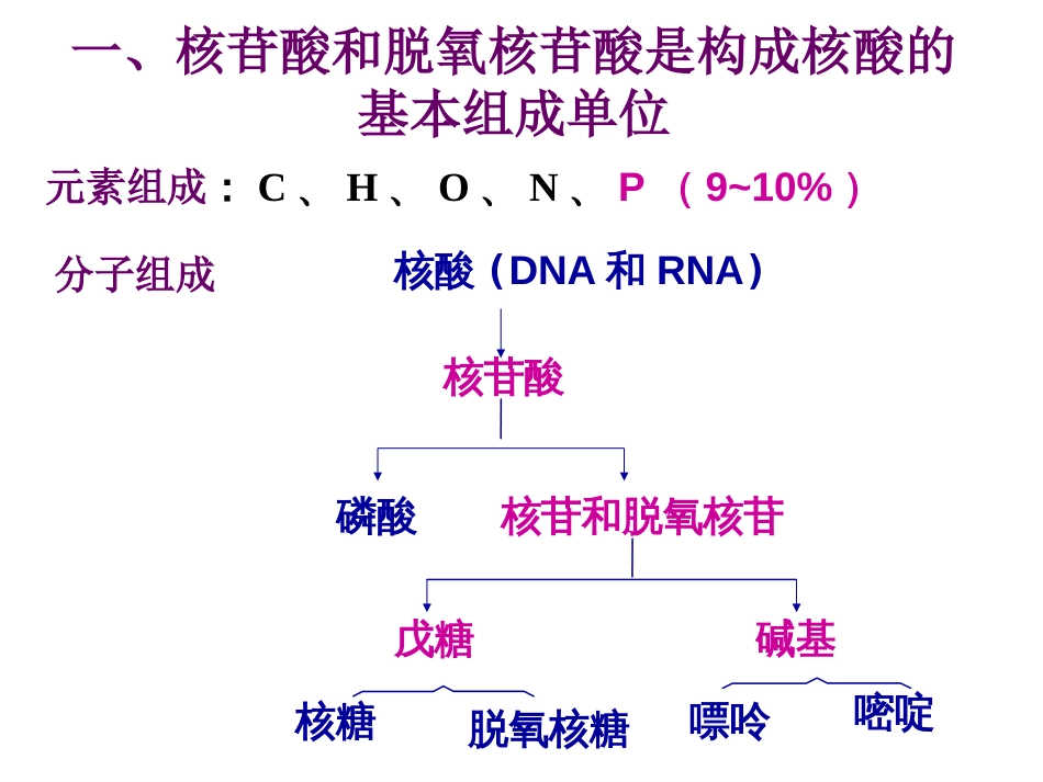 (2.7)--第02章-1 核酸的化学组成以及一级结构_第2页