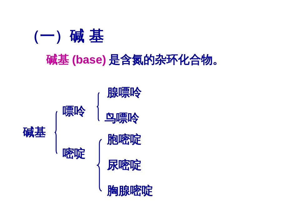 (2.7)--第02章-1 核酸的化学组成以及一级结构_第3页