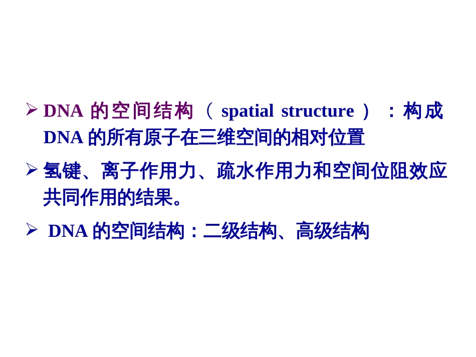 (2.8)--第02章-2 DNA的空间结构与功能_第2页