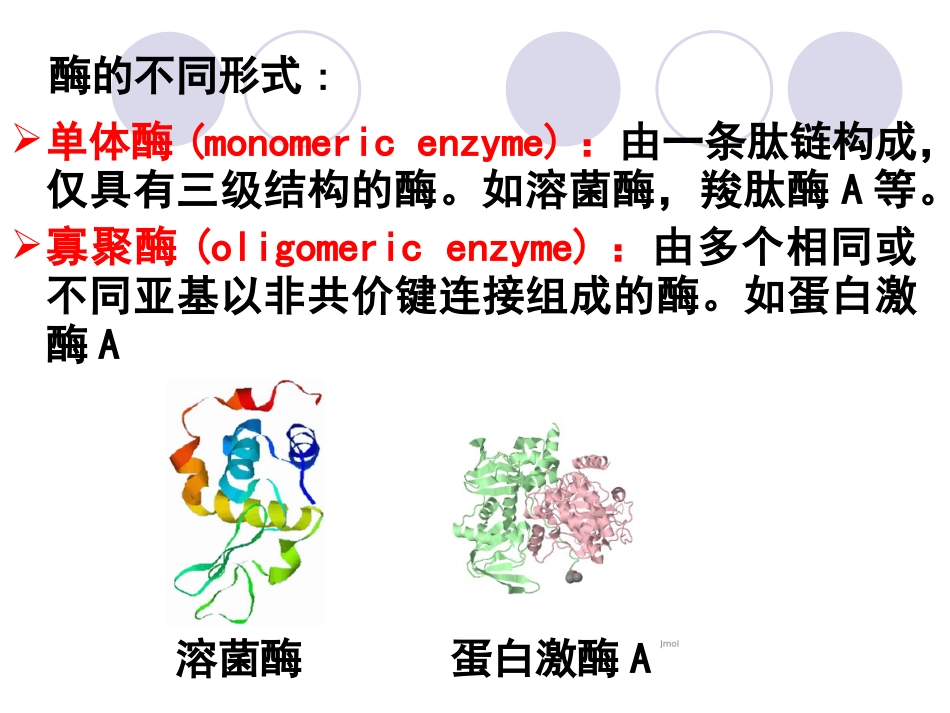 (2.12)--第03章-2-酶的分子结构与功能I-单纯酶和结合酶_第2页