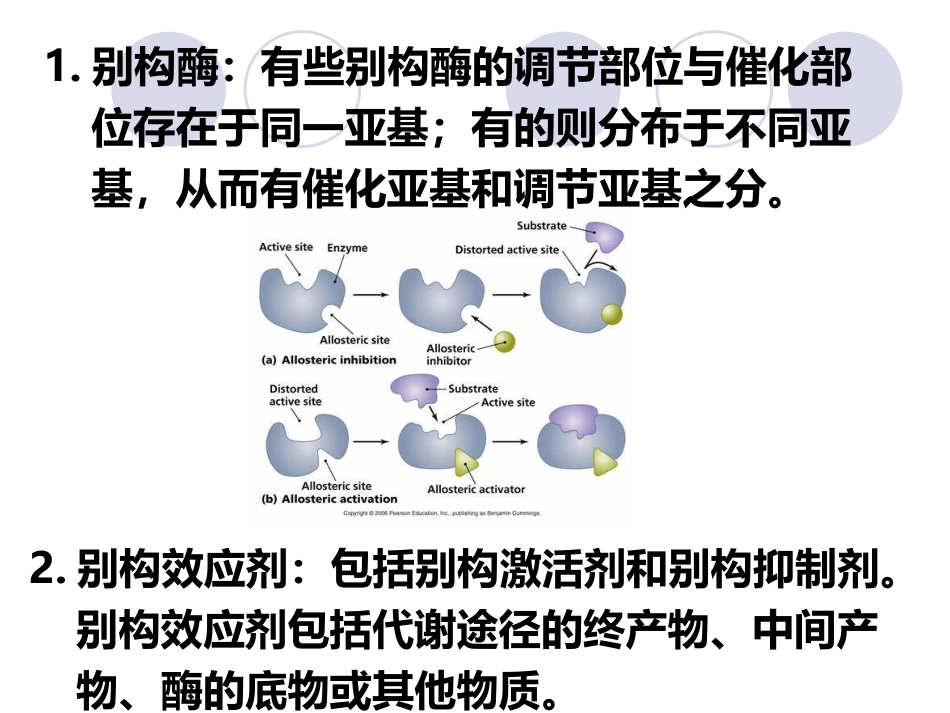 (2.19)--第03章-5-酶的调节-I-变构调节、共价修饰_第3页