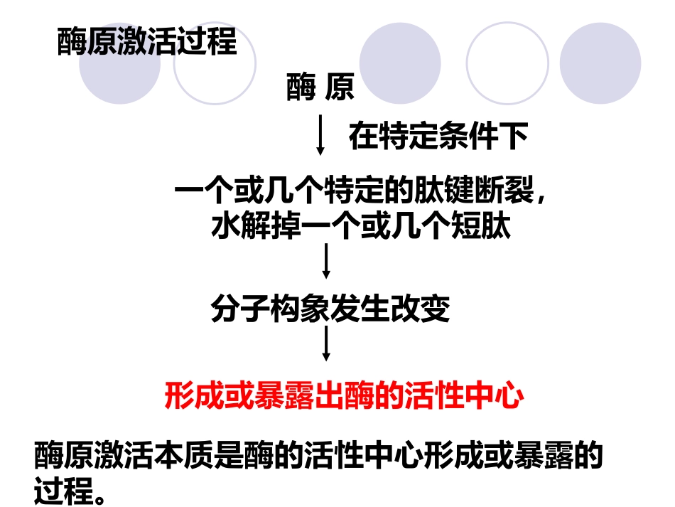 (2.20)--第03章-5-酶的调节-II-酶原与酶原激活、酶量的调节_第3页