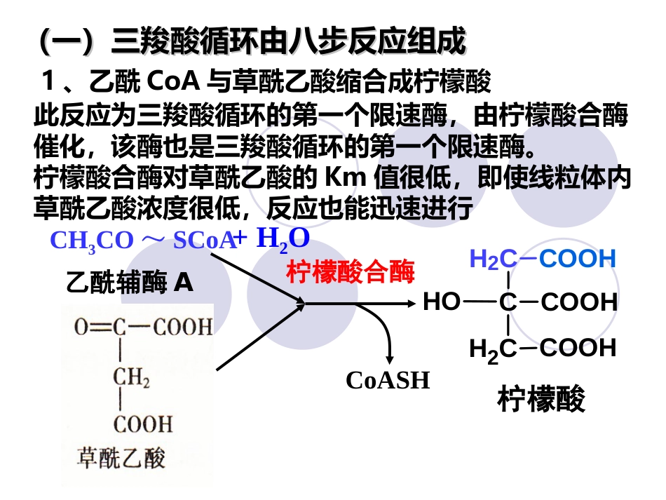 (2.28)--第05章-3-糖的有氧氧化II-三羧酸循环_第3页