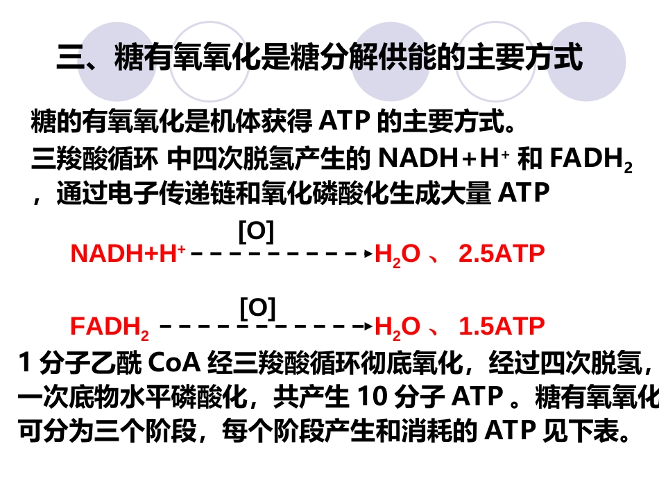 (2.29)--第05章-3-糖的有氧氧化III-有氧氧化的意义及调节_第2页