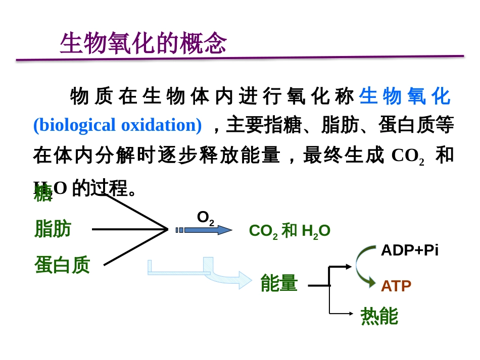 (2.35)--第06章-1 线粒体氧化体系_第2页