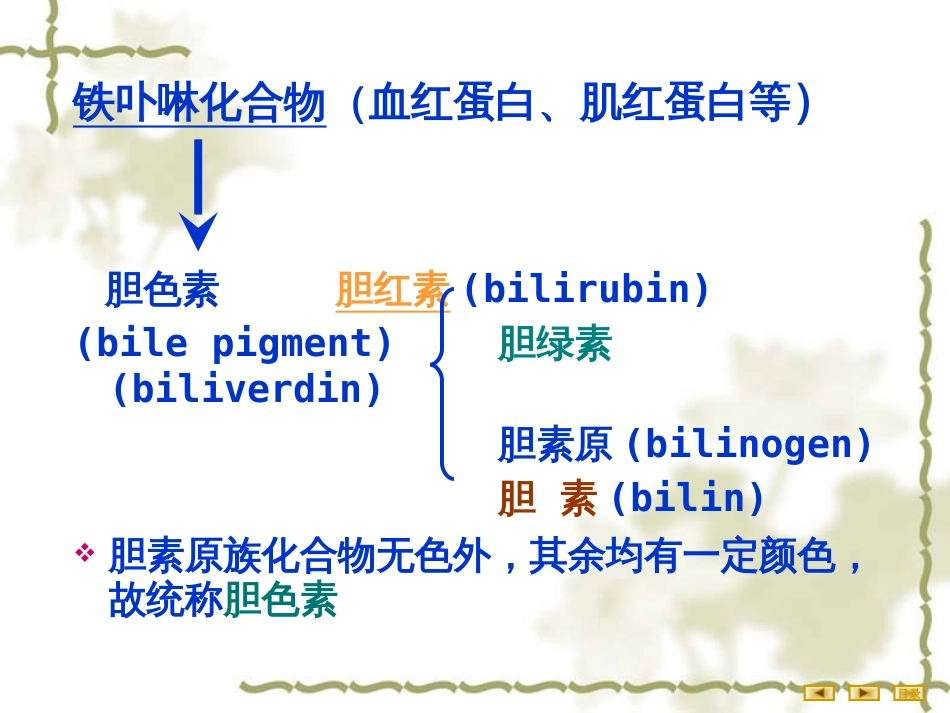 (2.50)--第10章-4-胆色素代谢与黄疸_第2页