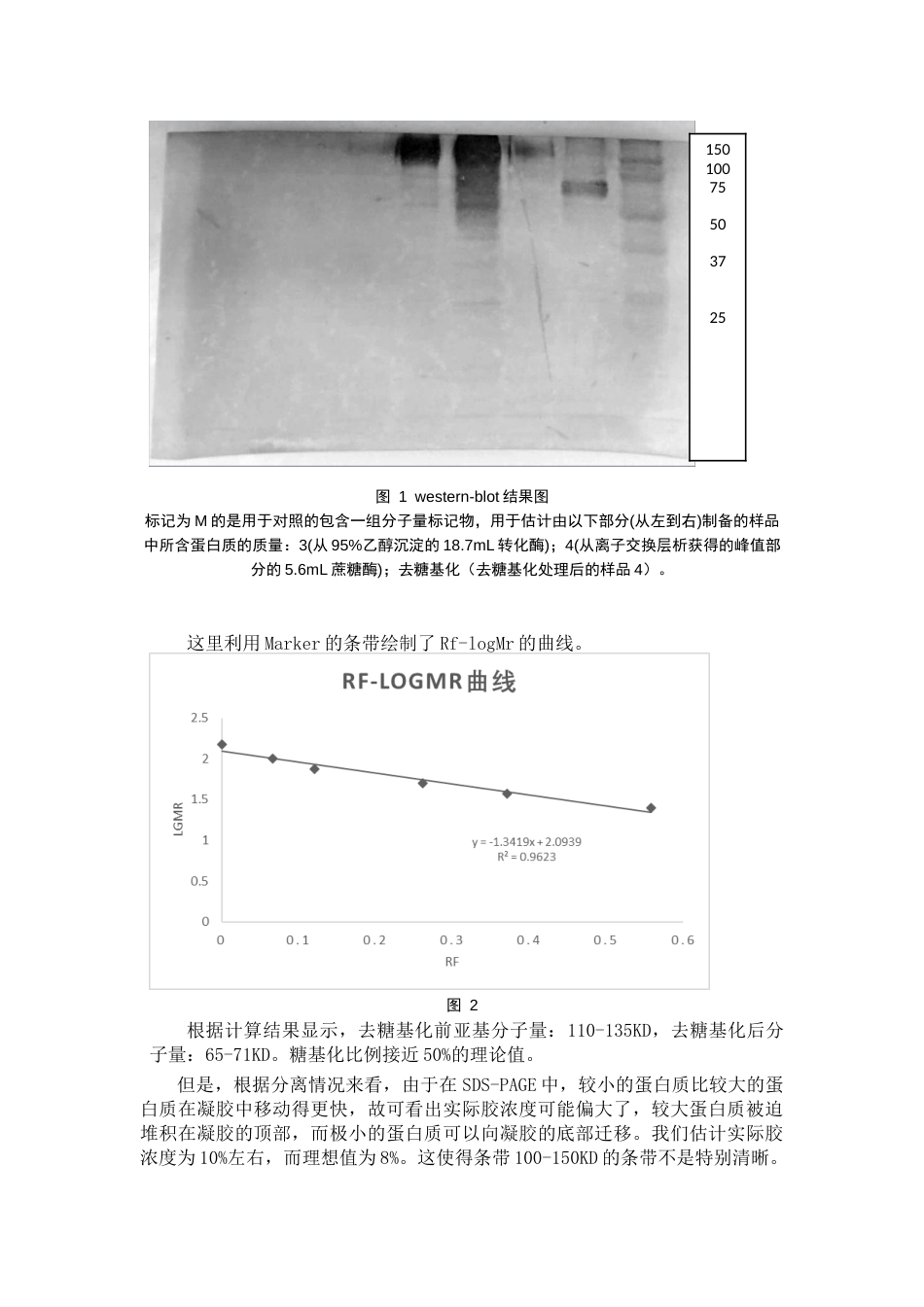 (3.4)--在温度因素下探究去糖基化前后蔗糖酶性质_第3页