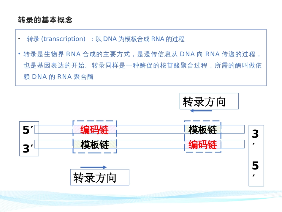 (5)--RNA的生物合成过程生物化学_第2页