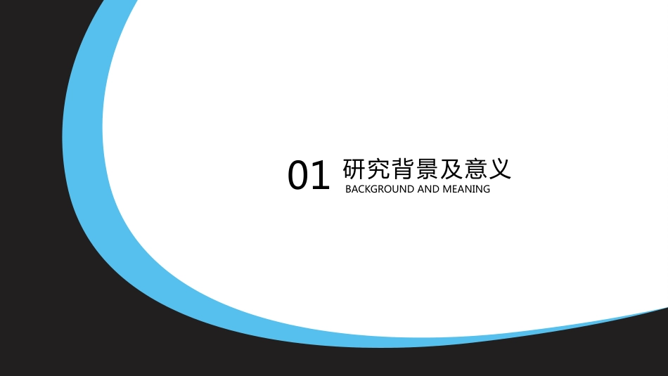 毕业设计论文答辩严谨学术性模板_第3页