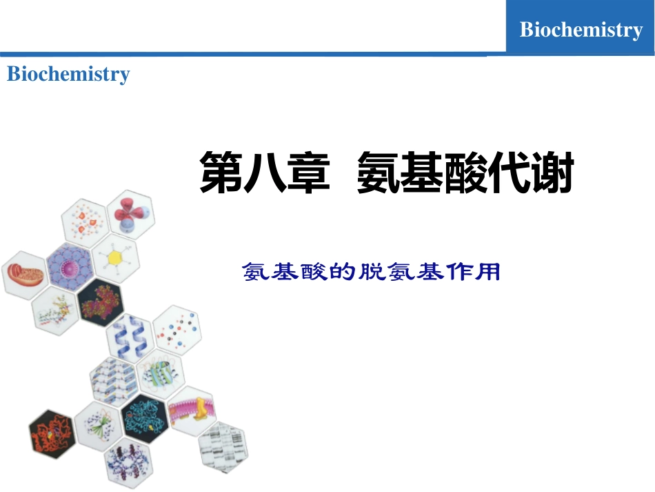 (6.1)--氨基酸代谢01-氨基酸的脱氨基作用_第1页