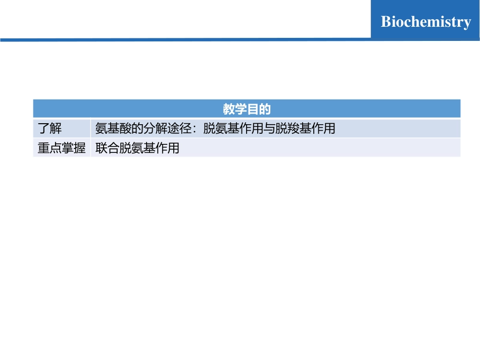 (6.1)--氨基酸代谢01-氨基酸的脱氨基作用_第2页