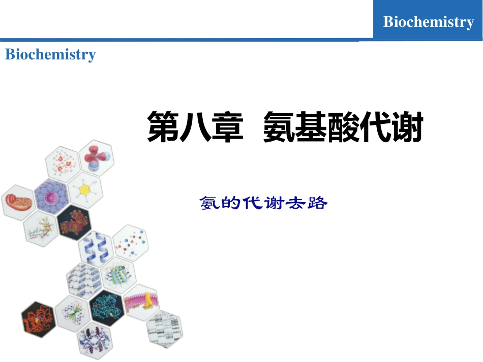 (6.2)--氨基酸代谢02-氨的代谢去路_第1页