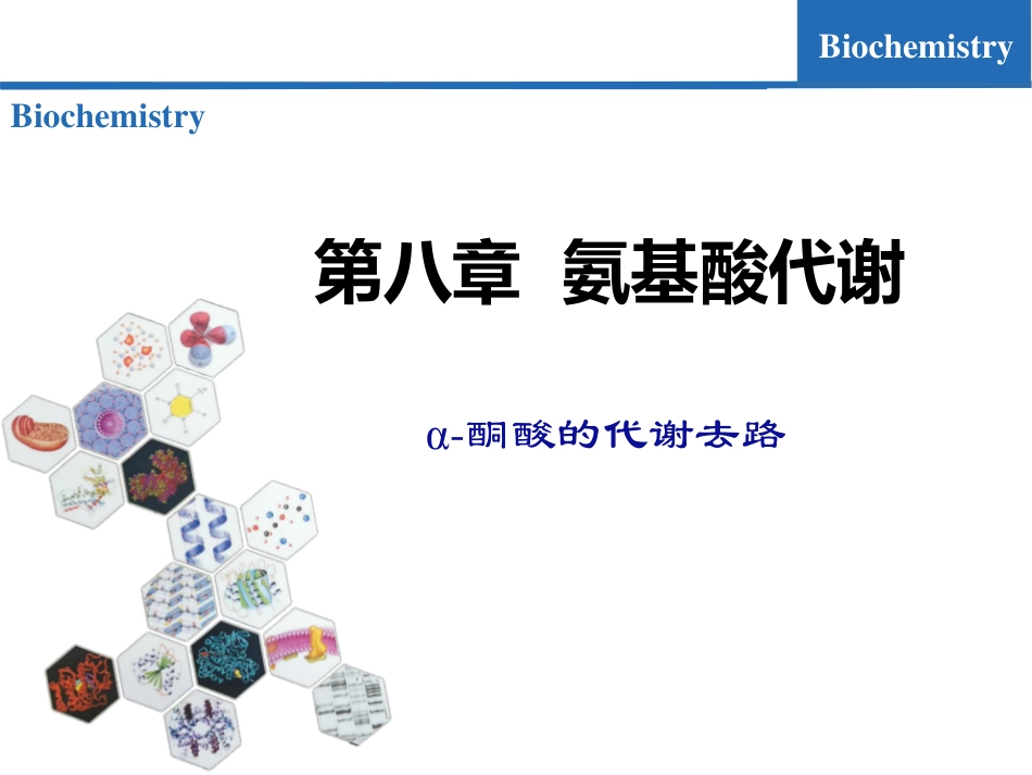 (6.3)--氨基酸代谢03-α-酮酸的代谢去路_第1页