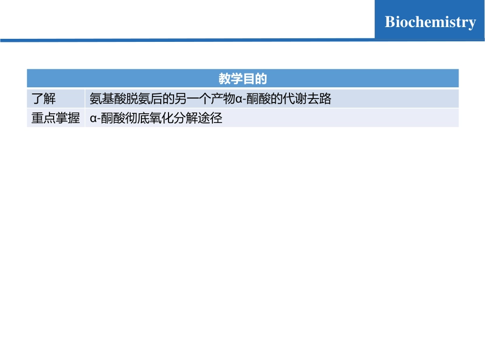 (6.3)--氨基酸代谢03-α-酮酸的代谢去路_第2页