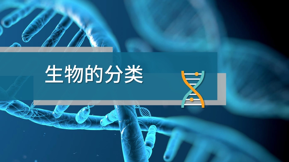 (7)--2.1生物分类生物信息学_第3页