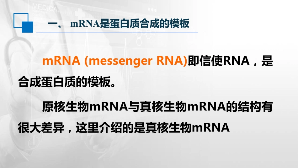 (7)--2.3RNA的结构与功能生物化学与分子生物学_第2页