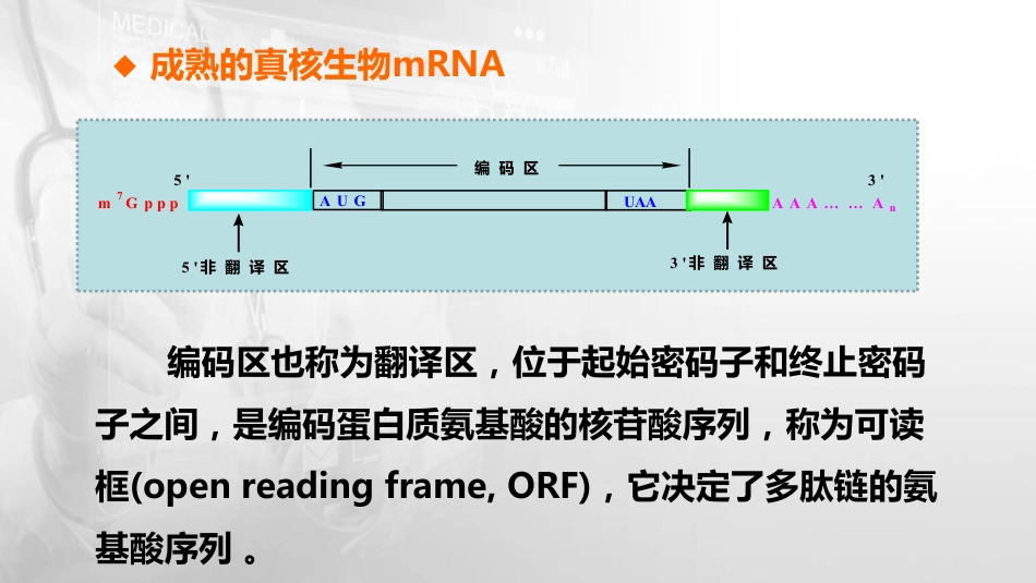 (7)--2.3RNA的结构与功能生物化学与分子生物学_第3页