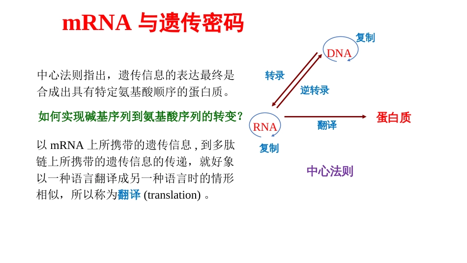 (7)--mRNA与遗传密码生物化学_第1页