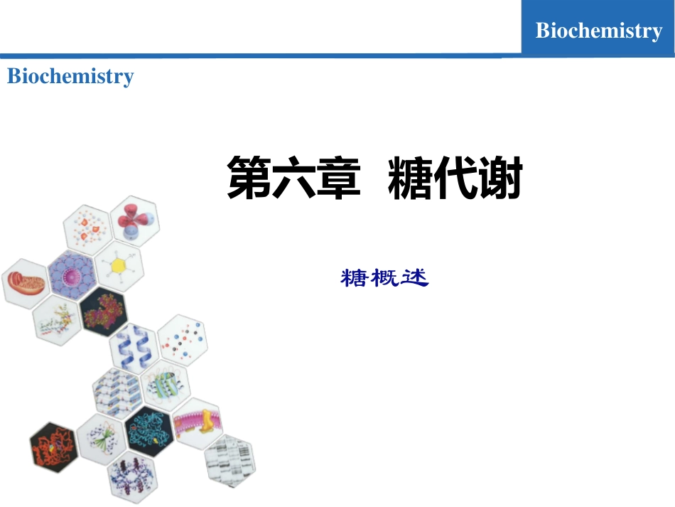 (7.1)--糖代谢01-糖概述生物化学_第1页