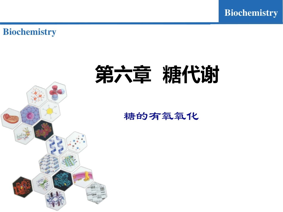 (7.3)--糖代谢03-糖的有氧氧化_第1页