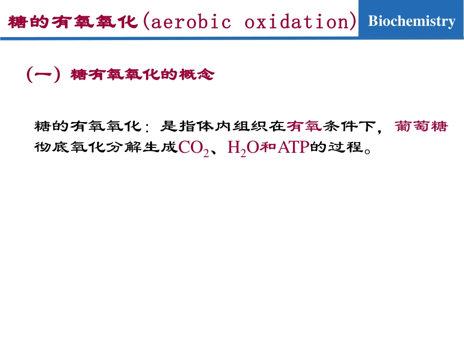 (7.3)--糖代谢03-糖的有氧氧化_第3页