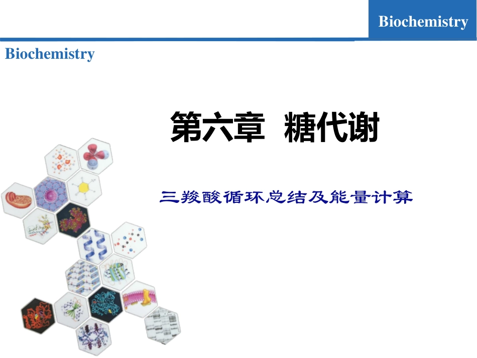 (7.4)--糖代谢04-三羧酸循环总结及能量计算_第1页