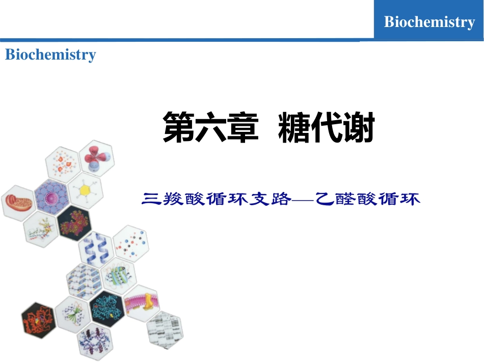 (7.5)--糖代谢05-三羧酸循环支路-乙醛酸循环_第1页