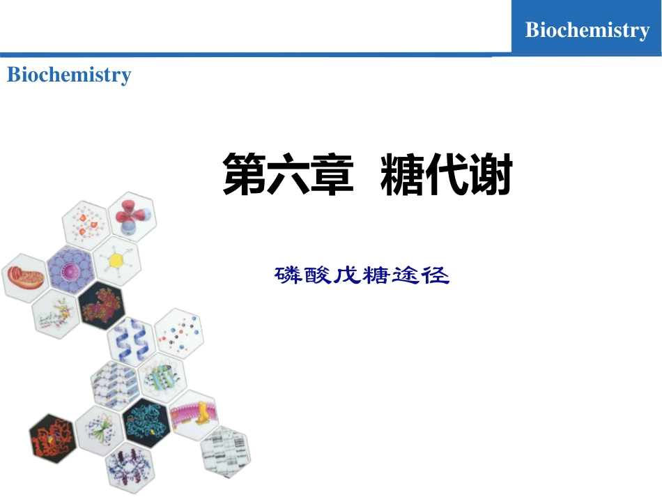 (7.6)--糖代谢06-磷酸戊糖途径_第1页