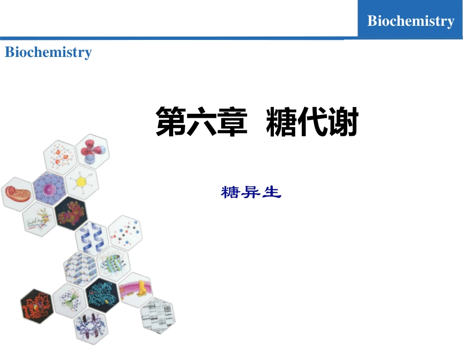 (7.7)--糖代谢07-糖异生生物化学_第1页