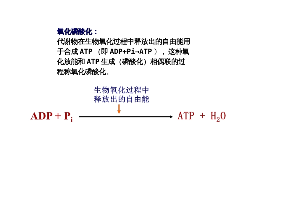 (8)--化学渗透学说生物化学_第3页