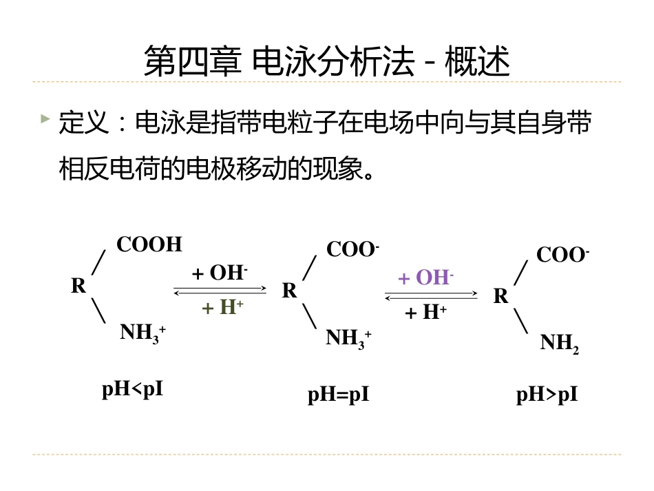 (9)--4.1电泳分析法-概述生物药物分析与检验_第2页