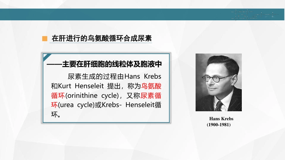 (9)--05 尿素循环生物化学_第3页