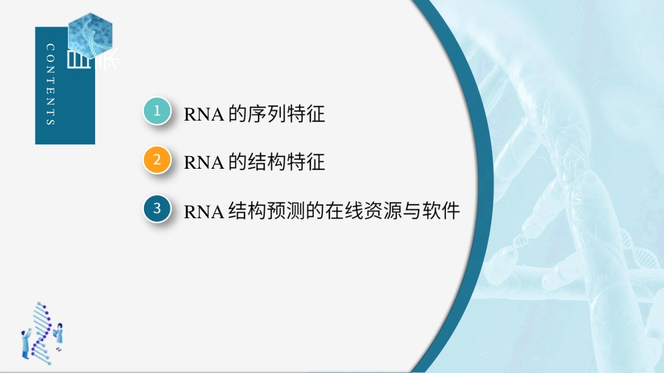 (10)--5.3 RNA序列与结构特征分析_第2页