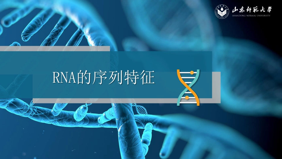 (10)--5.3 RNA序列与结构特征分析_第3页