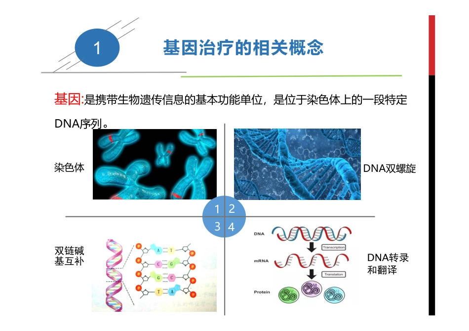 (10)--7.1 基因治疗(一）生物技术导论_第3页