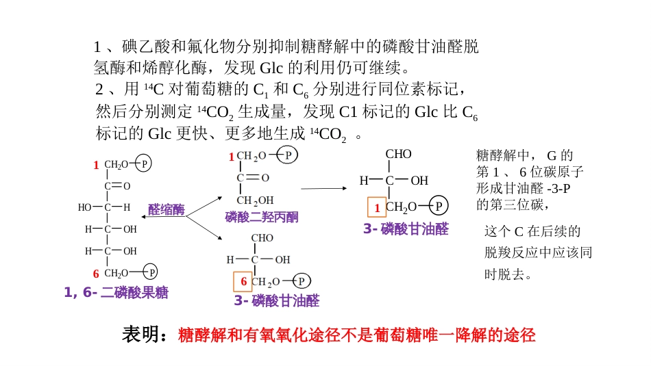 (10)--戊糖磷酸途径生物化学_第1页