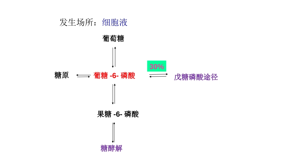 (10)--戊糖磷酸途径生物化学_第3页